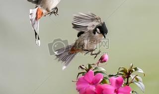 怎么批量删好友手机qq qq怎么快速删除好友