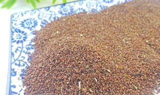 泰拉瑞亚月见草怎么获得 月见草种子