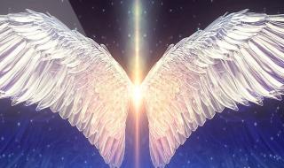 天使的翅膀吉他弹唱 天使的翅膀吉他弹唱