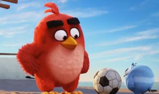 愤怒的小鸟里面有哪些哲学道理 人生就像愤怒的小鸟