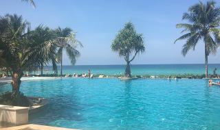 followyourheart followyourheart