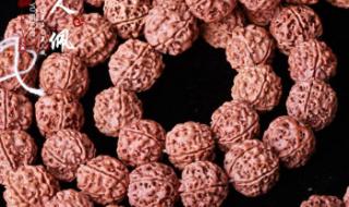 金刚菩提子价格参照 金刚菩提子价格参照