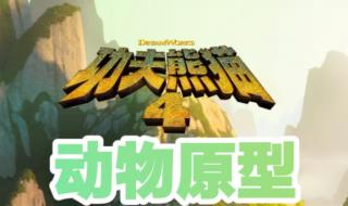 功夫熊猫谁最强 功夫熊猫原型是姑娘