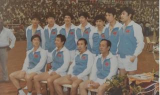 中国羽毛球大魔王是谁 世界羽毛球四大天王