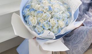 碎冰蓝适合送什么人