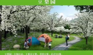 南宁举办2023年什么运动会 2023年9月举办什么运动会